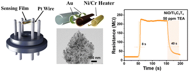 Graphical abstract: Rational design of NiO/Ti3C2Tx nanocomposites with enhanced triethylamine sensing performance