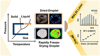 Graphical abstract: Advancing carbohydrate quantification in MALDI mass spectrometry by the rapidly freeze-drying droplet (RFDD) method