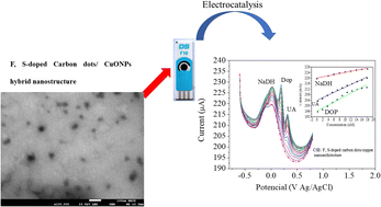 Graphical abstract: Non-enzymatic biosensor based on F,S-doped carbon dots/copper nanoarchitecture applied in the simultaneous electrochemical determination of NADH, dopamine, and uric acid in plasma