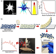 Graphical abstract: A simple low-cost flexible plasmonic patch based on spiky gold nanostars for ultra-sensitive SERS sensing