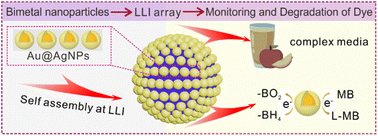 Graphical abstract: Bimetallic core–shell nanoparticle arrays at liquid–liquid interface for the degradation and monitoring of dye pollutants in situ by surface-enhanced Raman spectroscopy