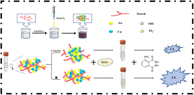 Graphical abstract: Cu/Au nanoclusters with peroxidase-like activity for chemiluminescence detection of α-amylase