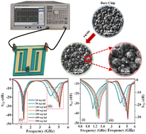 Graphical abstract: Ultrahigh-sensitivity multi-parameter tacrolimus solution detection based on an anchor planar millifluidic microwave biosensor