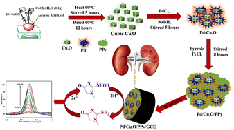 Graphical abstract: Non-enzymatic electrochemical detection of creatinine based on a glassy carbon electrode modified with a Pd/Cu2O decorated polypyrrole (PPy) nanocomposite: an analytical approach