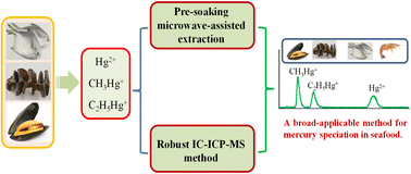 Graphical abstract: A broad-applicability method for mercury speciation in various seafoods using microwave-assisted extraction and ion chromatography-inductively coupled plasma mass spectrometry