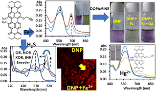 Graphical abstract: Perylene diimide-based sensors for multiple analyte sensing (Fe2+/H2S/ dopamine and Hg2+/Fe2+): cell imaging and INH, XOR, and encoder logic