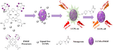 Graphical abstract: An upconverted nanoparticle–porphyrin metal–organic framework platform for near-infrared detection of nitenpyram