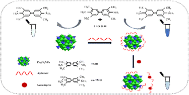 Graphical abstract: A novel colorimetric assay for sensitive detection of kanamycin based on the aptamer-regulated peroxidase-mimicking activity of Co3O4 nanoparticles