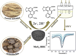 Graphical abstract: MoS2 nanosheets grown on bowl-shaped hollow carbon spheres as an efficient electrochemical sensor for ultrasensitive determination of nephrotoxic aristolochic acids in Chinese traditional herbs