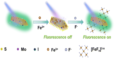 Graphical abstract: Polychromatic fluorescent MoS2 quantum dots: fabrication and off–on sensing for fluorine ions in water