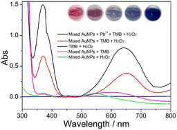 Graphical abstract: Aggregation-induced enhancement of peroxidase-mimetic activity of DNAzyme-gold nanoparticles for ultrasensitive detection of lead ions