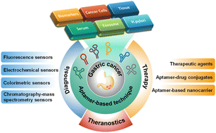 Graphical abstract: Aptamer-based technology for gastric cancer theranostics
