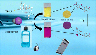 Graphical abstract: Ratiometric colorimetric detection of fluoride ions using a schiff base sensor: enhancing selectivity and sensitivity for naked-eye analysis