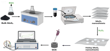 Graphical abstract: Holey MoS2-based electrochemical sensors for simultaneous dopamine and uric acid detection