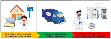 Graphical abstract: Development of a kit for urine collection on filter paper as an alternative for Pompe disease screening and monitoring by LC-HRMS