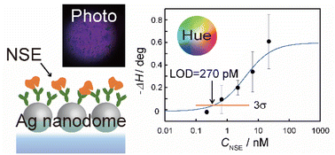 Graphical abstract: Direct detection of neuron-specific enolase using a spectrometer-free colorimetric plasmonic biosensor