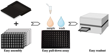 Graphical abstract: Development of a cellulose-based 96-well plate vertical flow pull-down assay
