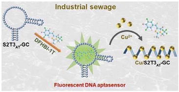 Graphical abstract: Construction of a novel fluorescent DNA aptasensor for the fast-response and sensitive detection of copper ions in industrial sewage