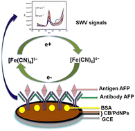 Graphical abstract: An electrochemical immunosensor for an alpha-fetoprotein cancer biomarker on a carbon black/palladium hybrid nanoparticles platform