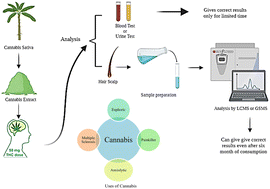 Graphical abstract: Analytical techniques for screening of cannabis and derivatives from human hair specimens