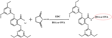 Graphical abstract: Monoclonal antibody production and development of immunochromatographic strip assays for screening of the herbicide bispyribac-sodium in rice