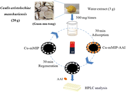 Graphical abstract: Efficient separation of aristolochic acid I from Caulis aristolochiae manshuriensis (Guan-mu-tong) with copper mediated magnetic molecularly imprinted polymer