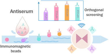 Graphical abstract: Screening and detection of multivalent human papillomavirus antibodies using a high-throughput liquid chip fluoroimmunoassay system