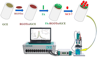 Graphical abstract: Electrochemical biosensing based on folic acid-triazine-grafted reduced graphene oxide: a highly selective breast cancer cell sensor