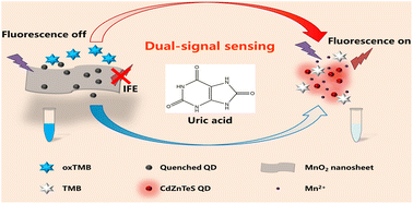 Graphical abstract: Target-triggered ‘colorimetric-fluorescence’ dual-signal sensing system based on the versatility of MnO2 nanosheets for rapid detection of uric acid