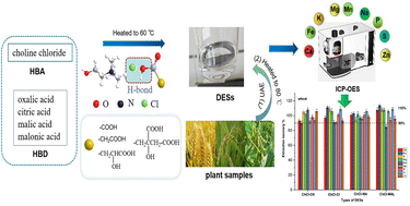 Graphical abstract: Determination of major and trace elements in plant samples by inductively coupled plasma optical emission spectrometry with deep eutectic solvent extraction based on choline chloride and carboxylic acids