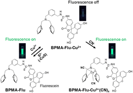 Graphical abstract: Detection of cyanide and sulfide ions by different mechanisms using a fluorescent chemical sensor containing a fluorophore and a potential ligand for metal complexes