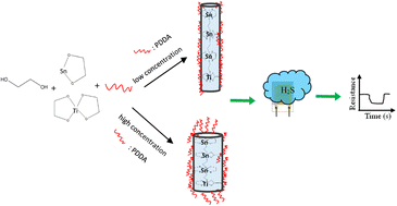 Graphical abstract: Fabrication of conifer-like TiSnO2 nanorods for sensing H2S gas at room temperature