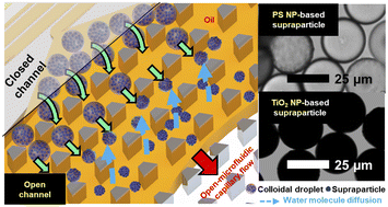 Graphical abstract: High-throughput fabrication of monodisperse spherical supraparticles through a reliable thin oil film and rapid water diffusion