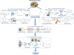Graphical abstract: Quality control for a traditional Chinese medicine, Millettia speciosa Champ, using ultra-high-performance liquid chromatography fingerprint, serum pharmacochemistry and network pharmacology