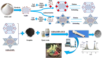 Graphical abstract: Dual-template imprinted polymer electrochemical sensor for simultaneous determination of malathion and carbendazim using graphene quantum dots