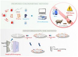 Graphical abstract: Multifunctional one-droplet microfluidic chemosensing of ractopamine in real samples: a user-oriented flexible nano-architecture for on-site food and pharmaceutical analysis using optical sensors