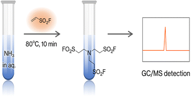 Graphical abstract: First GC/MS identification of aqueous ammonia: utilization of ethenesulfonyl fluoride as a selective and rapid derivatization reagent of ammonia in aqueous media