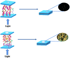 Graphical abstract: Construction of a liquid crystal biosensor based on Fe3O4 nano-signal amplification and its application in HCG detection