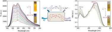 Graphical abstract: A high-performance fluorescent and ratiometric colorimetric detection of Cu2+ in practice