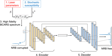 Graphical abstract: Removing non-resonant background from broadband CARS using a physics-informed neural network