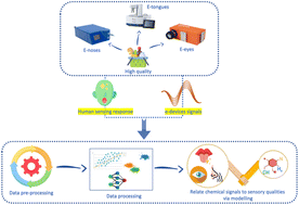 Graphical abstract: Recent developments of e-sensing devices coupled to data processing techniques in food quality evaluation: a critical review