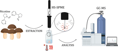 Graphical abstract: Development of a solid phase microextraction method for the determination of nicotine in dried mushrooms