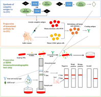 Graphical abstract: Preparation of arsenic(iii) monoclonal antibodies and preliminary evaluation of a novel silver-coated gold nanorod SERS immunoassay strip construction