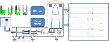 Graphical abstract: High-throughput screening and quantification of pesticides in Lilii Bulbus using ultra-high-performance liquid chromatography coupled with quadrupole time-of-flight mass spectrometry