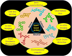 Graphical abstract: ESIPT-based probes for cations, anions and neutral species: recent progress, multidisciplinary applications and future perspectives