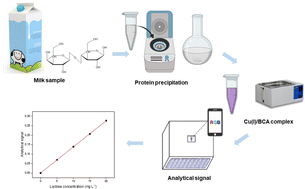 Graphical abstract: A novel approach for lactose determination in cow's milk exploiting smartphone-based digital-image photometry
