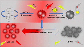 Graphical abstract: One step synthesis of highly photoluminescent red light-emitting carbon dots from O-phenylenediamine and 2,4-diaminophenol as fluorescent probes for the detection of pH and Cr(vi)