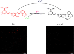 Graphical abstract: A novel “on–off–on” near-infrared fluorescent probe for Cu2+ and S2− continuous detection based on dicyanoisoflurone derivatives, and its application in bacterial imaging