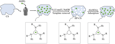 Graphical abstract: Ion-imprinted chitosan prepared without cross-linking agent for efficient selective adsorption of Al(iii) from rare earth solution