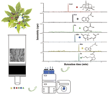 Graphical abstract: Application of a three dimensional polyethyleneimine functionalized graphene oxide aerogel as an adsorbent for the determination of phytohormones in ginseng